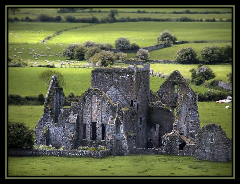 Baileys Hotel Cashel Cashel  Room photo