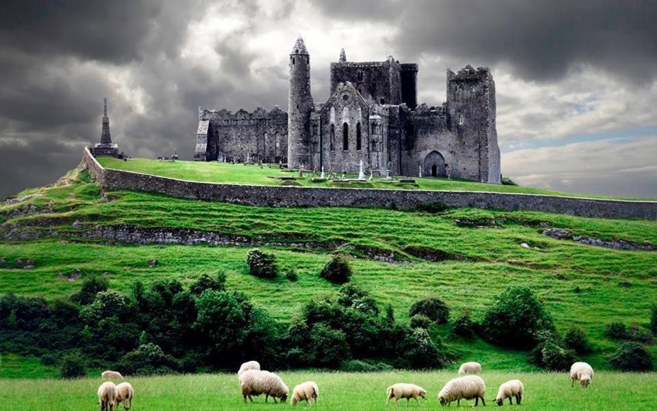Baileys Hotel Cashel Cashel  Room photo